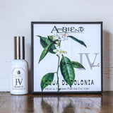 Ambiente(アンビエンテ) / Acqua di Colonia BASIC 水性香水 #4Neroli(ネロリ) オレンジ コスメ