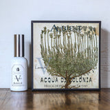 Ambiente(アンビエンテ) / Acqua di Colonia BASIC 水性香水 #5Lavender(ラベンダー)リラックス