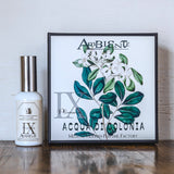 Ambiente(アンビエンテ) / Acqua di Colonia BASIC 水性香水 #9Plumeria(プルメリア)フローラル